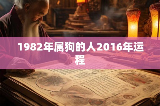 1982年属狗的人2016年运程