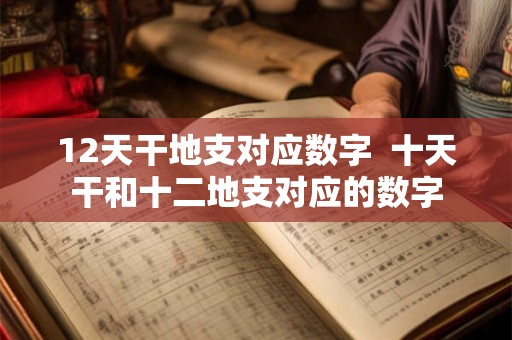 12天干地支对应数字  十天干和十二地支对应的数字