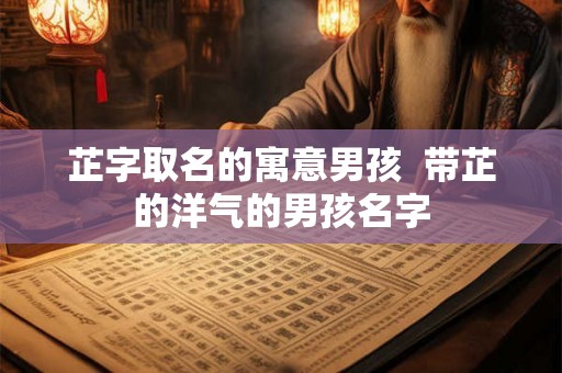 芷字取名的寓意男孩  带芷的洋气的男孩名字
