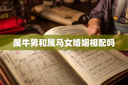 属牛男和属马女婚姻相配吗