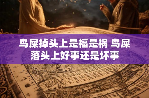 鸟屎掉头上是福是祸 鸟屎落头上好事还是坏事 鸟屎掉头上是福是祸 鸟屎落头上好事还是坏事