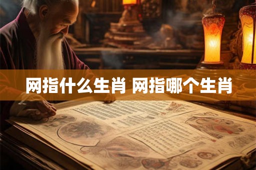 网指什么生肖 网指哪个生肖 网指什么生肖 网指哪个生肖