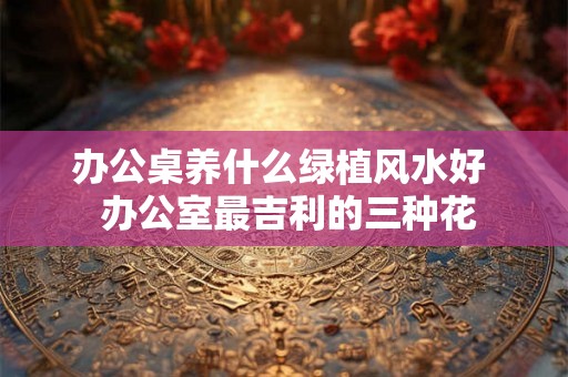 办公桌养什么绿植风水好 办公室最吉利的三种花 办公桌养什么绿植风水好 办公室最吉利的三种花