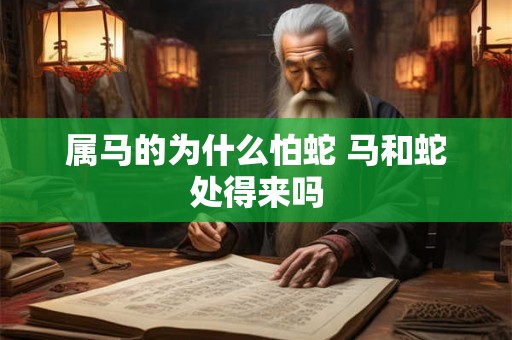 属马的为什么怕蛇 马和蛇处得来吗