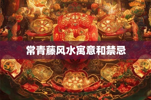 常青藤风水寓意和禁忌