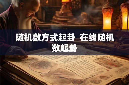 随机数方式起卦  在线随机数起卦