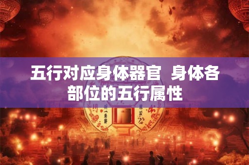 五行对应身体器官  身体各部位的五行属性