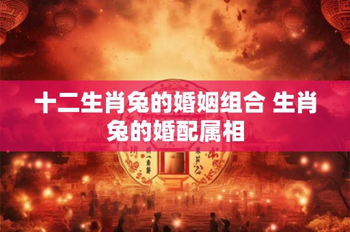 十二生肖兔的婚姻组合 生肖兔的婚配属相