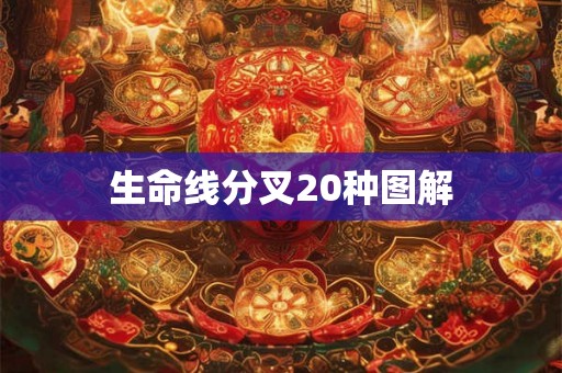 生命线分叉20种图解