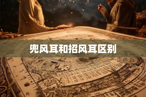 兜风耳和招风耳区别