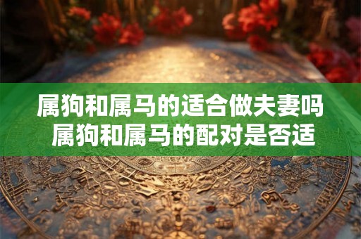 属狗和属马的适合做夫妻吗 属狗和属马的配对是否适合成为夫妻 属狗和属马的适合做夫妻吗 属狗和属马的配对是否适合成为夫妻