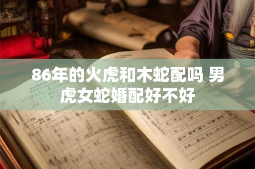86年的火虎和木蛇配吗 男虎女蛇婚配好不好
