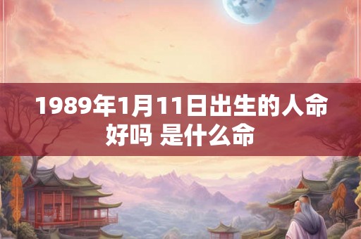 1989年1月11日出生的人命好吗 是什么命