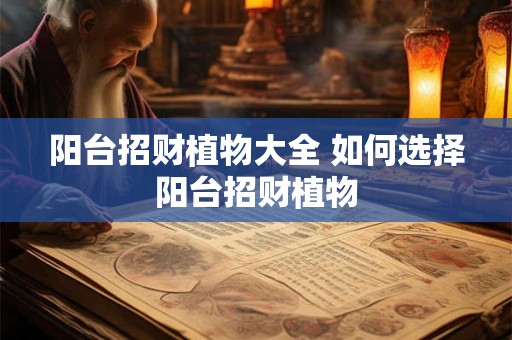 阳台招财植物大全 如何选择阳台招财植物