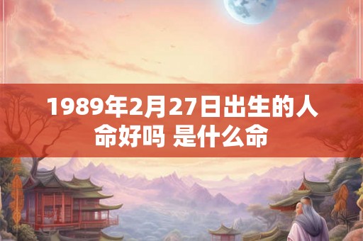 1989年2月27日出生的人命好吗 是什么命