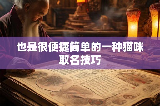 也是很便捷简单的一种猫咪取名技巧