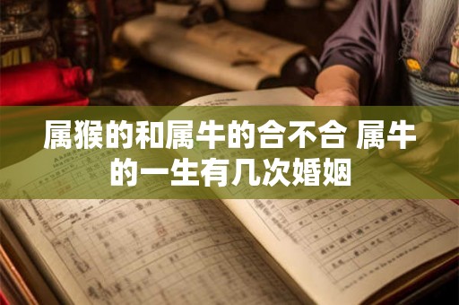 属猴的和属牛的合不合 属牛的一生有几次婚姻