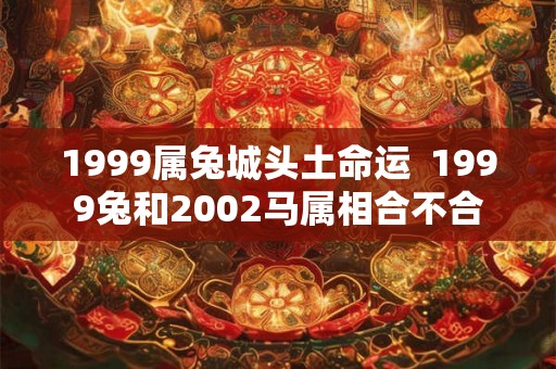 1999属兔城头土命运  1999兔和2002马属相合不合