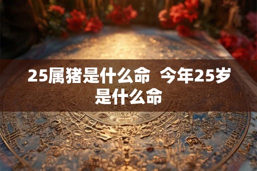 25属猪是什么命 今年25岁是什么命 25属猪是什么命 今年25岁是什么命