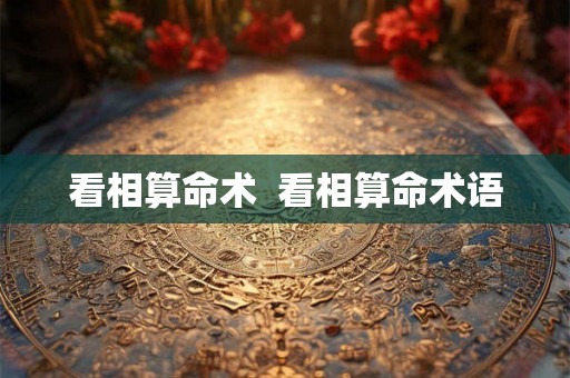 看相算命术  看相算命术语