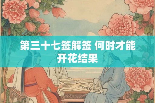 第三十七签解签 何时才能开花结果