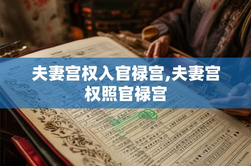 夫妻宫权入官禄宫,夫妻宫权照官禄宫