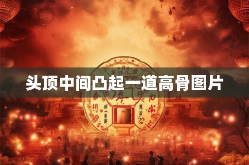 头顶中间凸起一道高骨图片 头顶中间凸起一道高骨图片