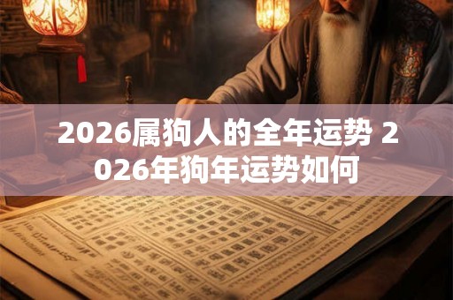 2026属狗人的全年运势 2026年狗年运势如何