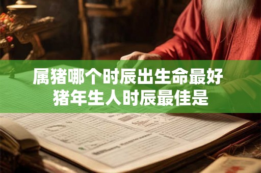 属猪哪个时辰出生命最好 猪年生人时辰最佳是