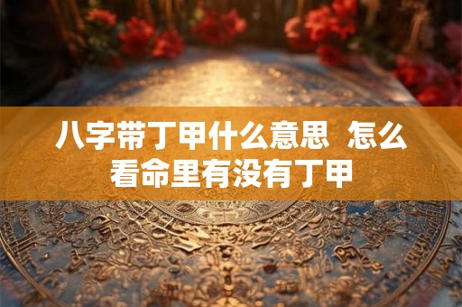 八字带丁甲什么意思  怎么看命里有没有丁甲
