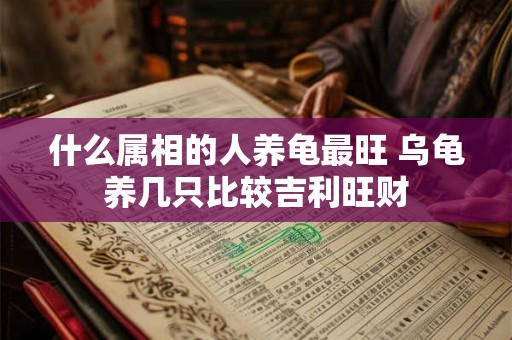 什么属相的人养龟最旺 乌龟养几只比较吉利旺财