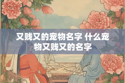 又贱又的宠物名字 什么宠物又贱又的名字
