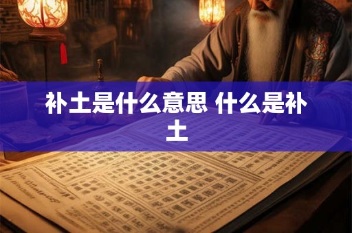 补土是什么意思 什么是补土