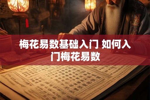 梅花易数基础入门 如何入门梅花易数