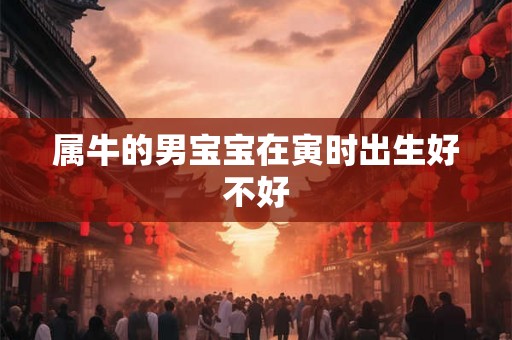 属牛的男宝宝在寅时出生好不好