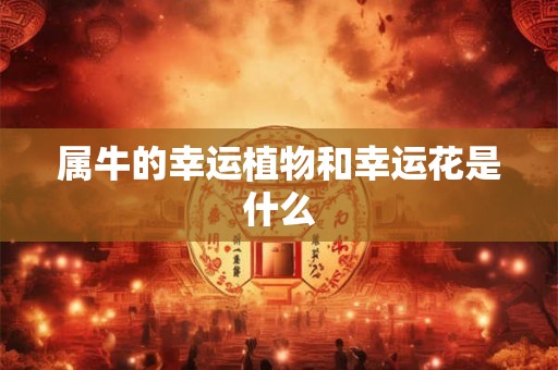 属牛的幸运植物和幸运花是什么