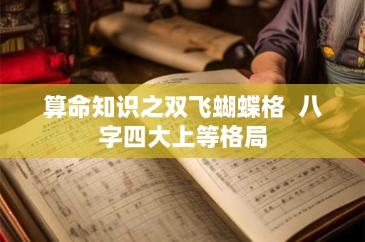 算命知识之双飞蝴蝶格  八字四大上等格局