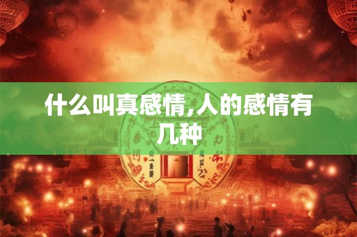 什么叫真感情,人的感情有几种 什么叫真感情,人的感情有几种