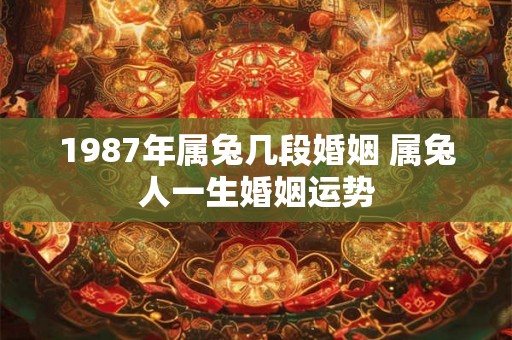 1987年属兔几段婚姻 属兔人一生婚姻运势