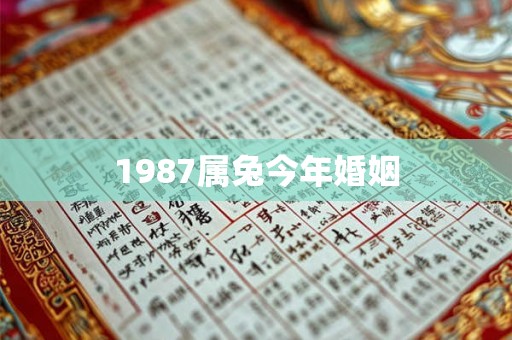 1987属兔今年婚姻 1987属兔今年婚姻