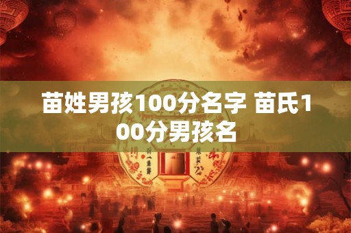 苗姓男孩100分名字 苗氏100分男孩名