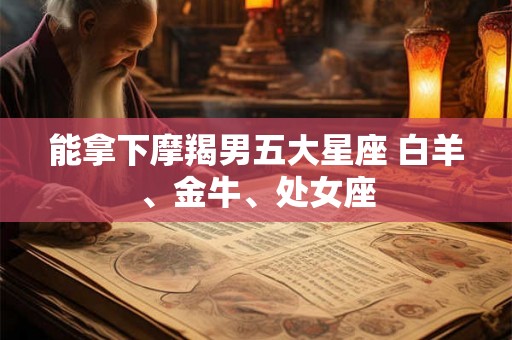 能拿下摩羯男五大星座 白羊、金牛、处女座