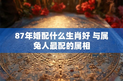 87年婚配什么生肖好 与属兔人最配的属相 87年婚配什么生肖好 与属兔人最配的属相