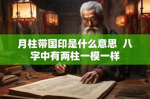 月柱带国印是什么意思  八字中有两柱一模一样
