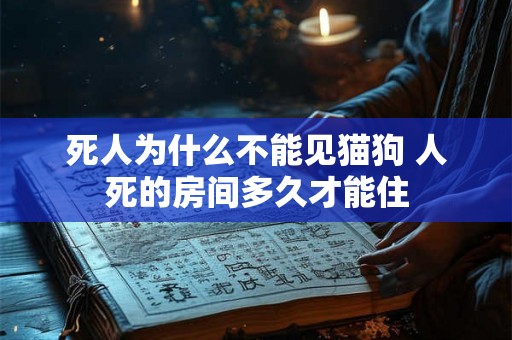死人为什么不能见猫狗 人死的房间多久才能住