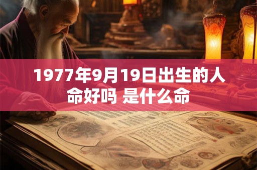 1977年9月19日出生的人命好吗 是什么命