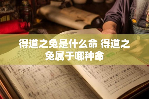 得道之兔是什么命 得道之兔属于哪种命