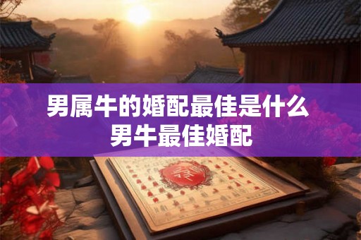 男属牛的婚配最佳是什么 男牛最佳婚配