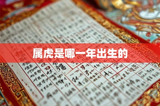 属虎是哪一年出生的