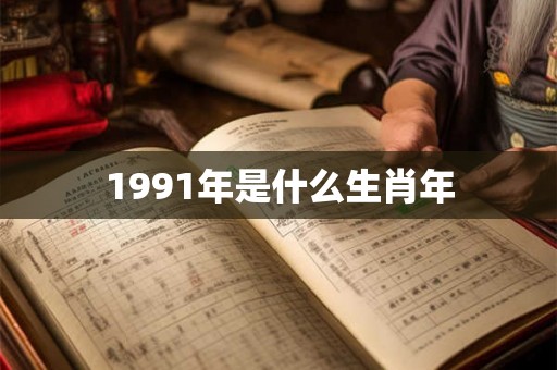1991年是什么生肖年
